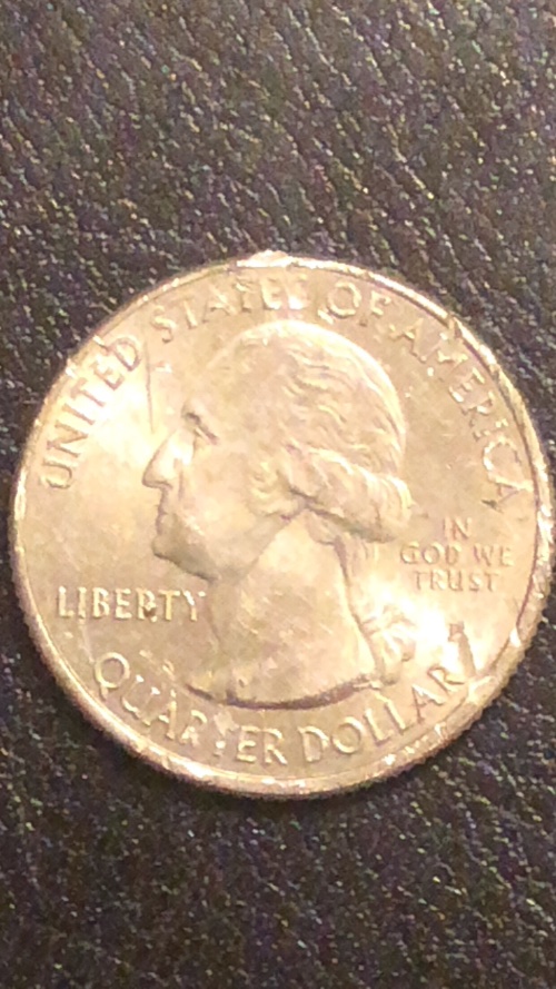 Error-Or-Just-Damage?-Washington-Quarter
