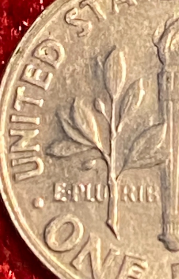 1965-Dime,-Some-Leaves-Are-Missing-At-The-Back.