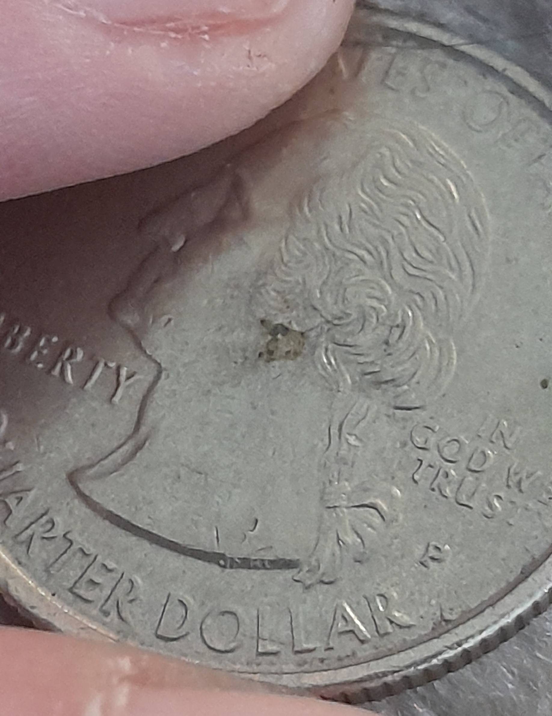 1999-New-Jersey-Quarter?