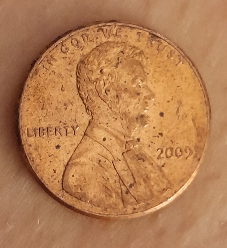 2009-Penny-With-A-House