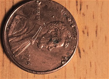 What-Do-You-See-In-My-Penny-Pics-Errors-Quality-Value-Etc?