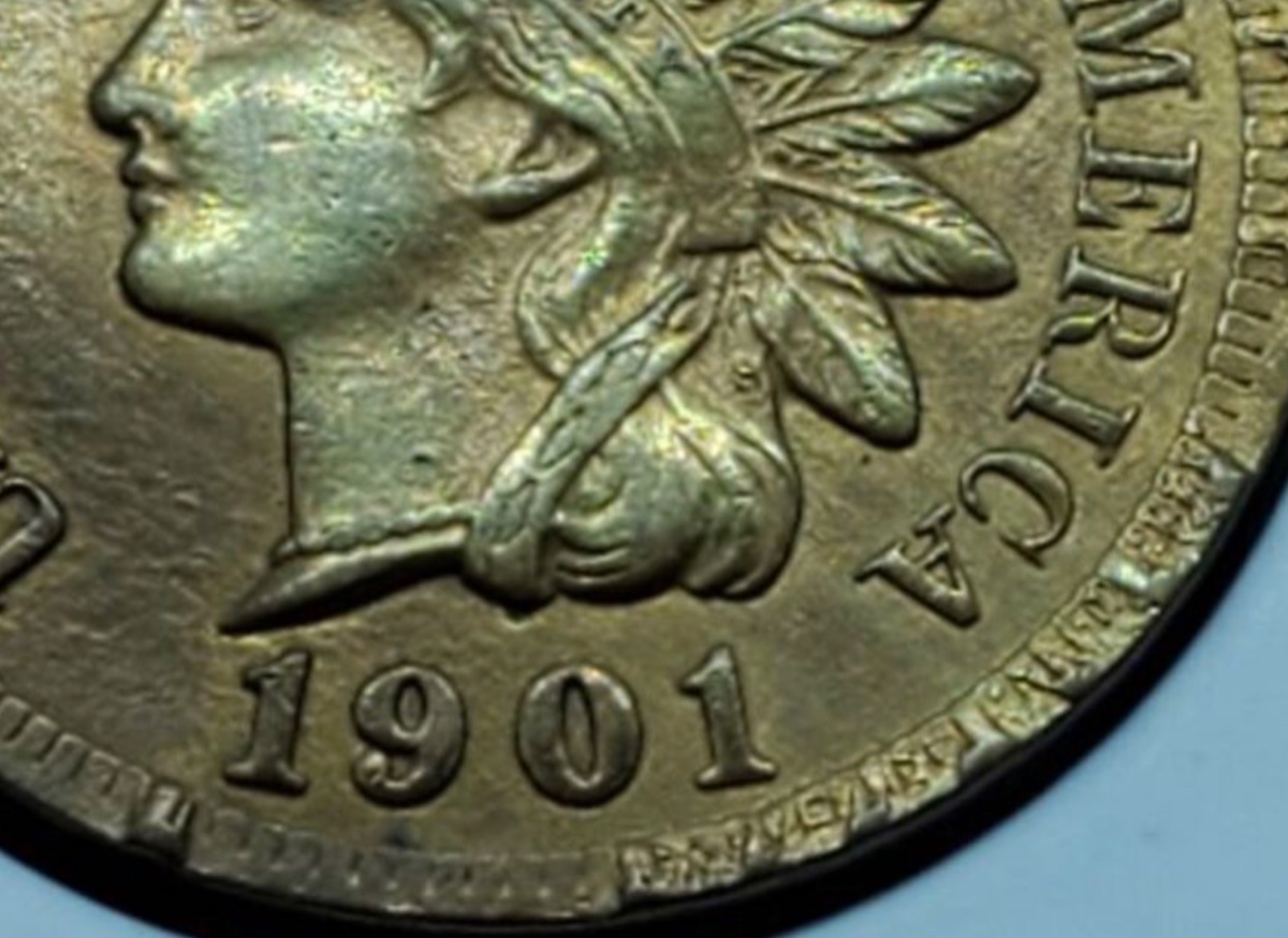 1901-Indian-Head-Cent-W/-Rim-Anomalies.......error?