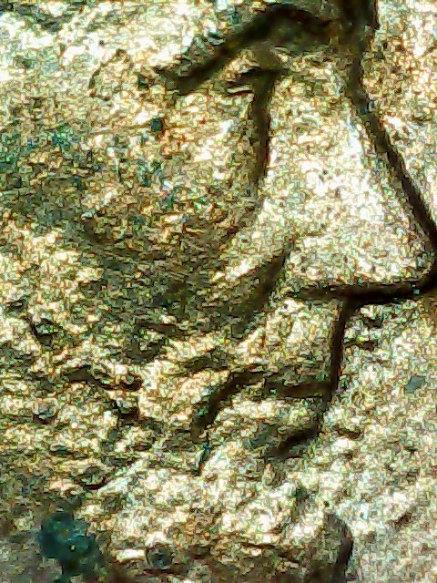 1983-Lincoln-Cent.something-Going-On-Inbetween-The-Pillars-And-Maybe-A-Diecrack?
