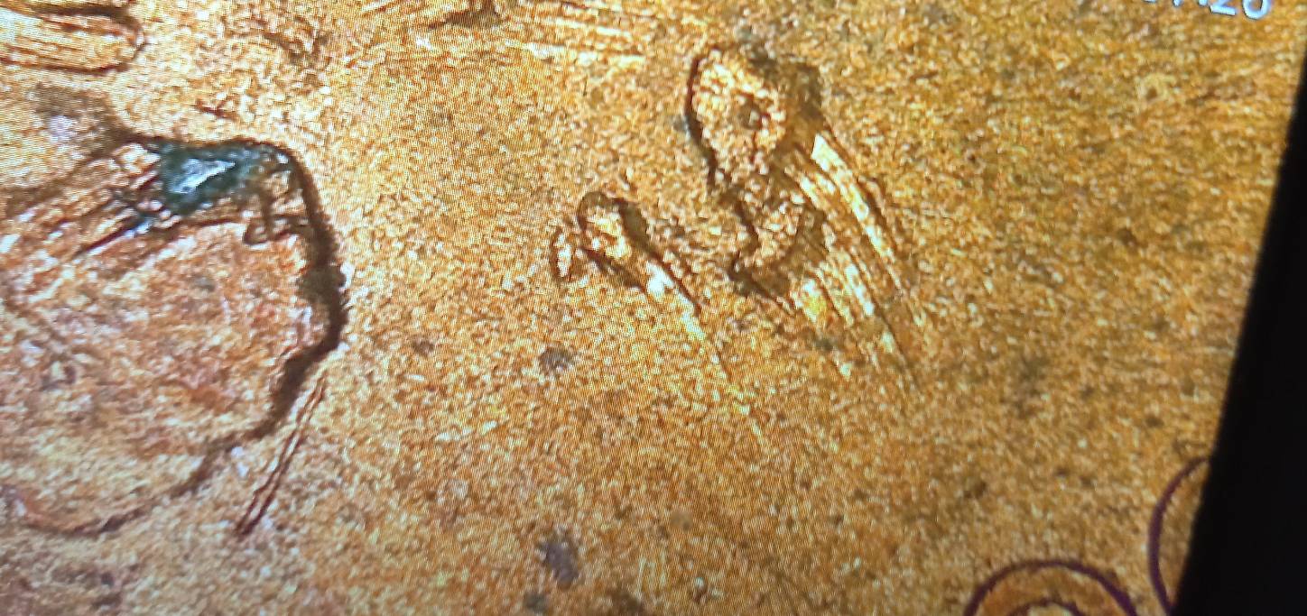 2000-D--Lincoln-Cent-Possible-Error?
