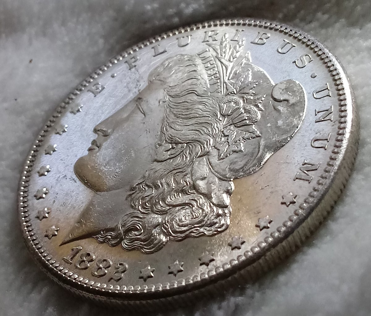 1882-S-Morgan-Dollar-For-Grading