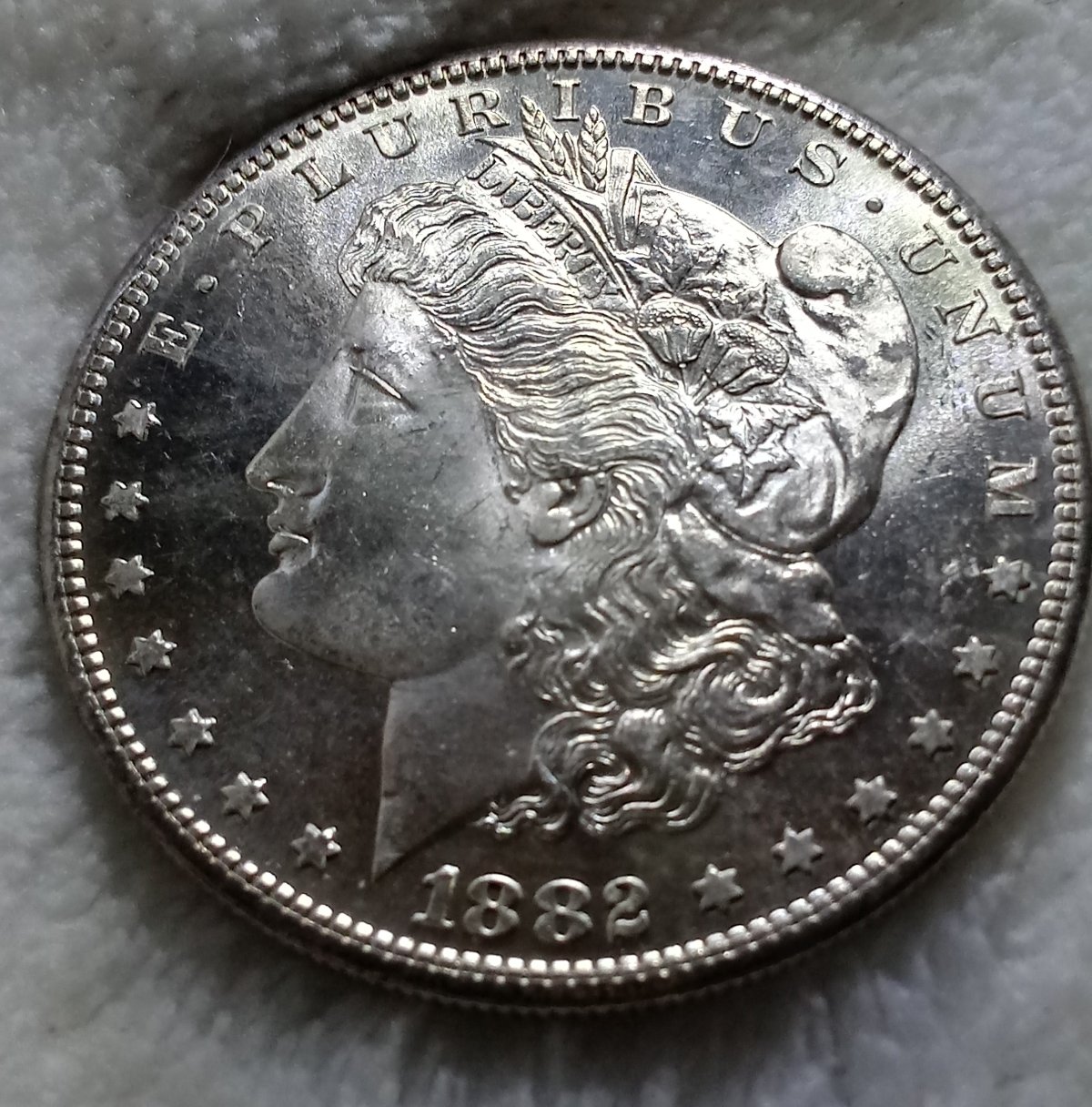 1882-S-Morgan-Dollar-For-Grading