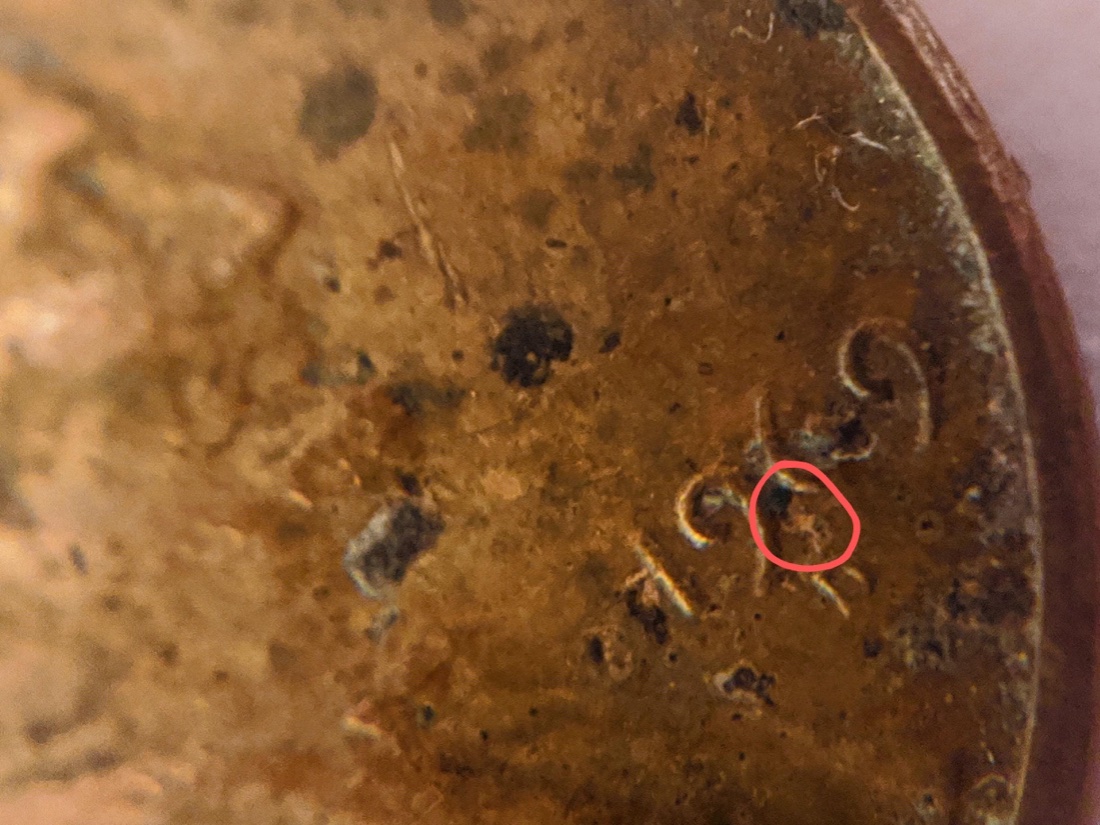 1969-D-Over-S-Lincoln-Cent?
