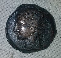 Post-Your-Coins-With-Horses