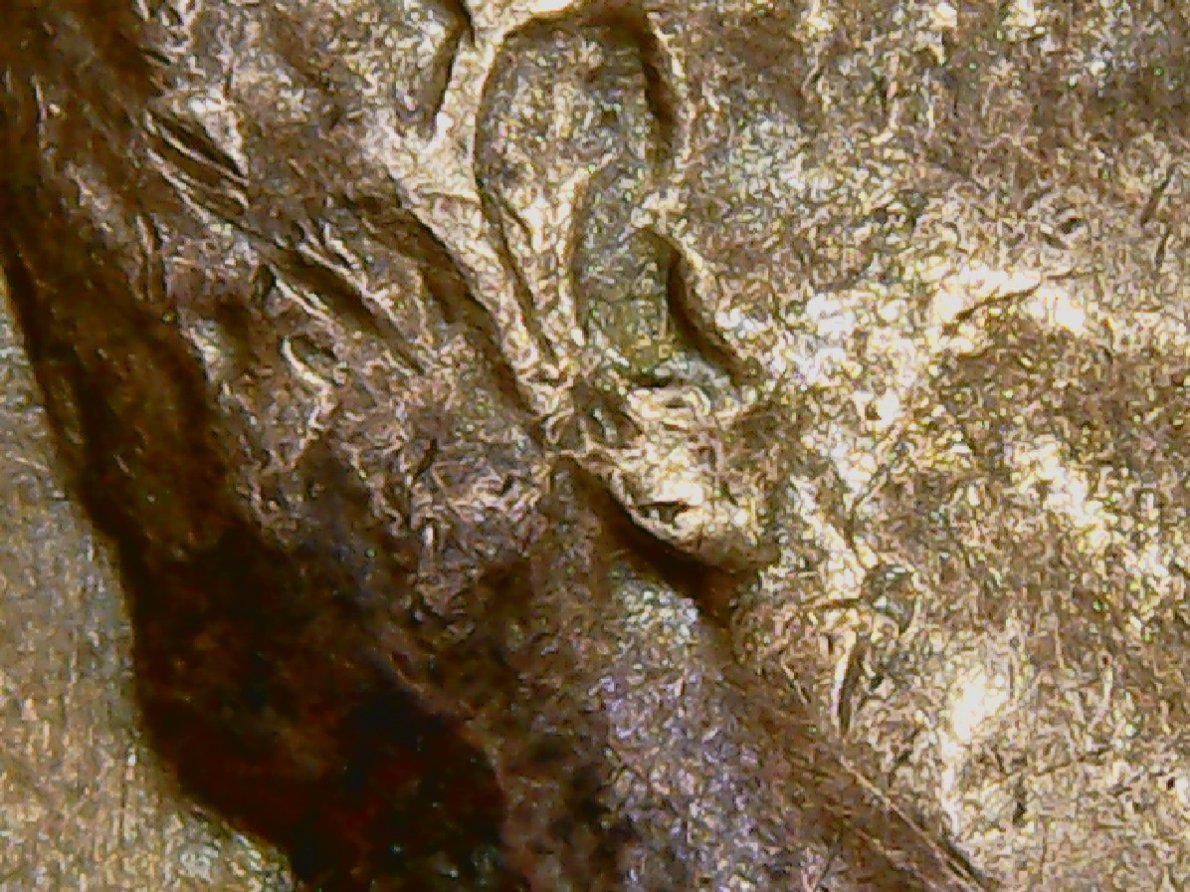 Found-This-1955-D-In-The-