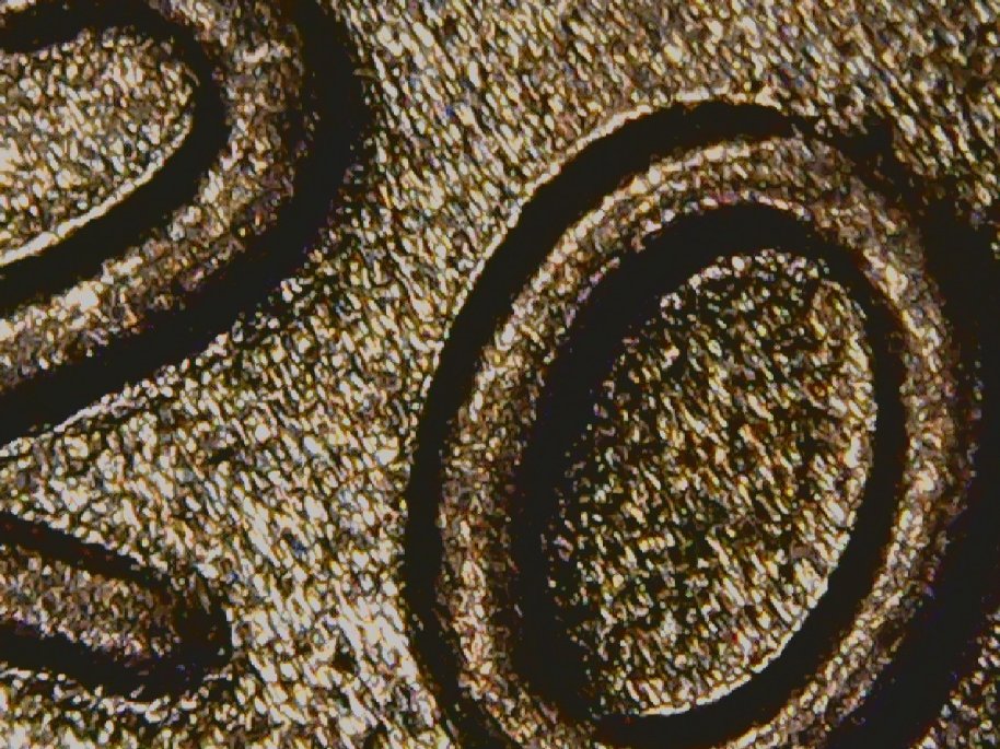 2020-D-Shield-Cent...are-These-Seperation-Lines?