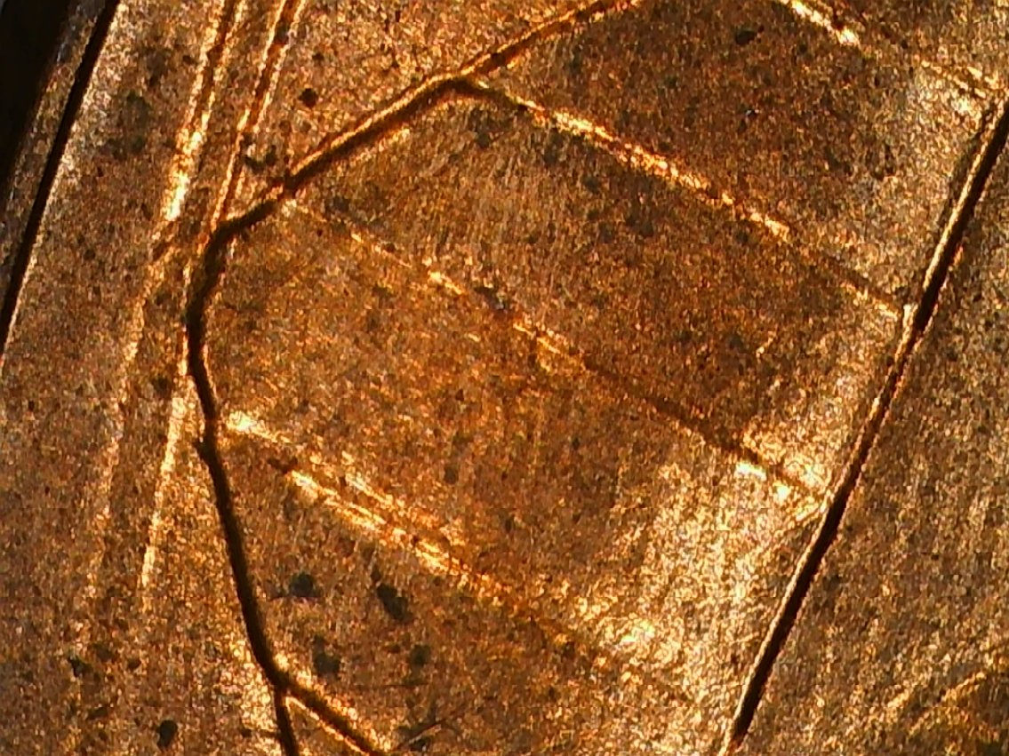 2012-P-Shield-Penny?