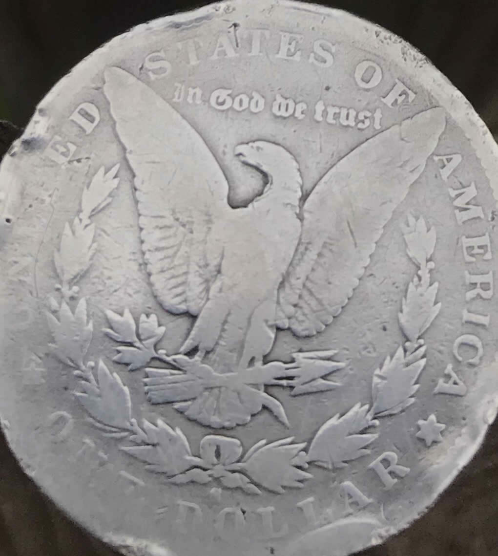 1896-S-Morgan-Dollar-Possible-Rim-Strike-Error?
