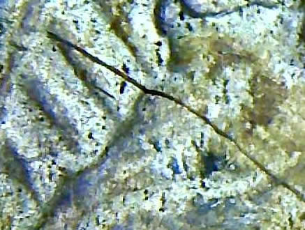 1927-S-Peace-Dollar-Die-Crack?