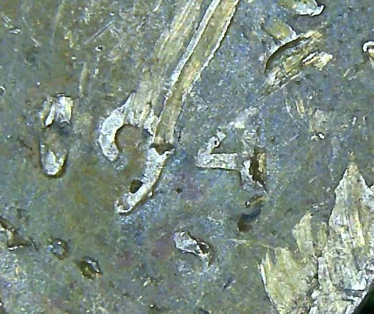 194?-S-Lincoln-Wheat-Penny