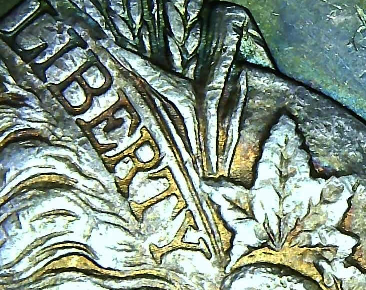 1886-S-Possibly-Morgan-Dollar-Grading