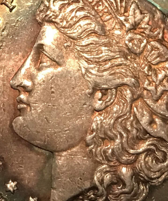 1886-S-Possibly-Morgan-Dollar-Grading