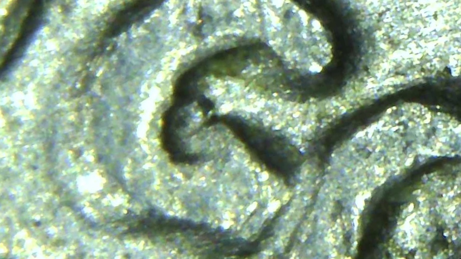 1978-P-Dime-Possible-DDO-And-DDR.-Possibly-Doubling-On-Ear