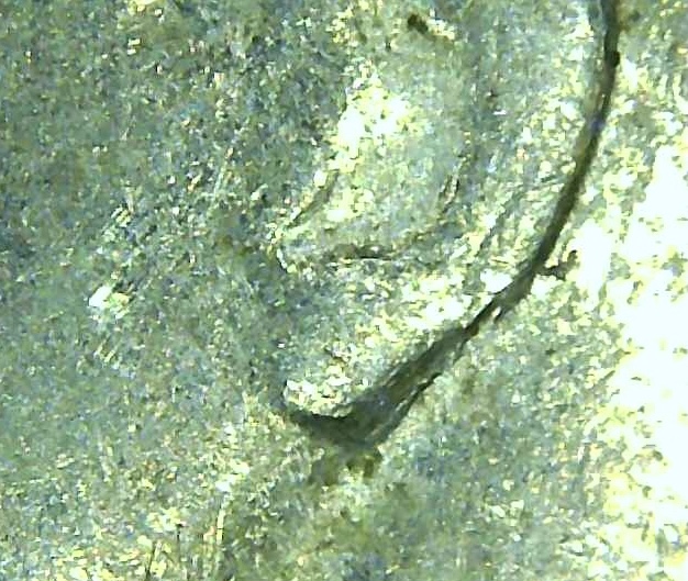 1978-P-Dime-Possible-DDO-And-DDR.-Possibly-Doubling-On-Ear