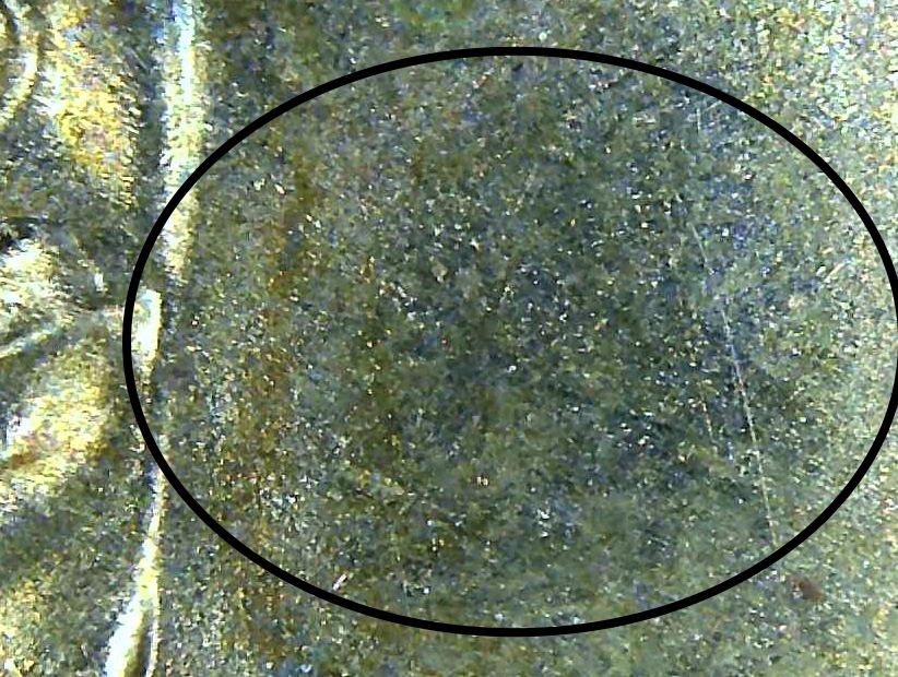 2000-P-Sacajawea-Coin-Possible-Errors