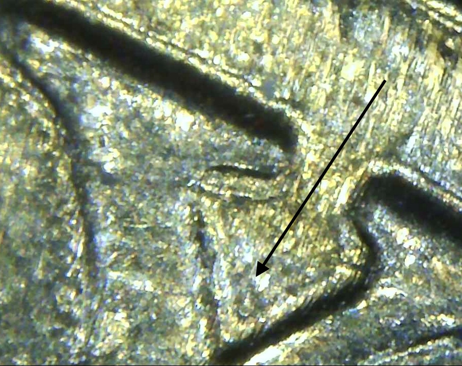 2000-P-Sacajawea-DDO?