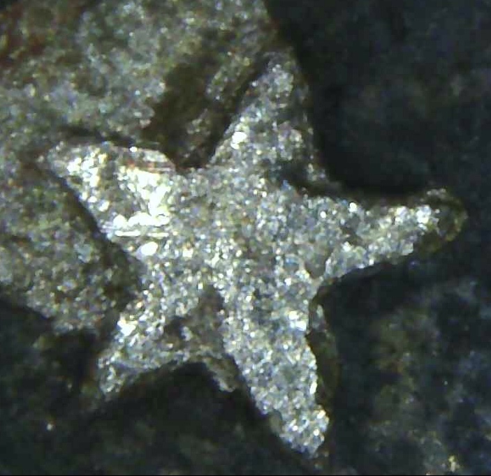 2001-New-York-State-Quarter-Error!