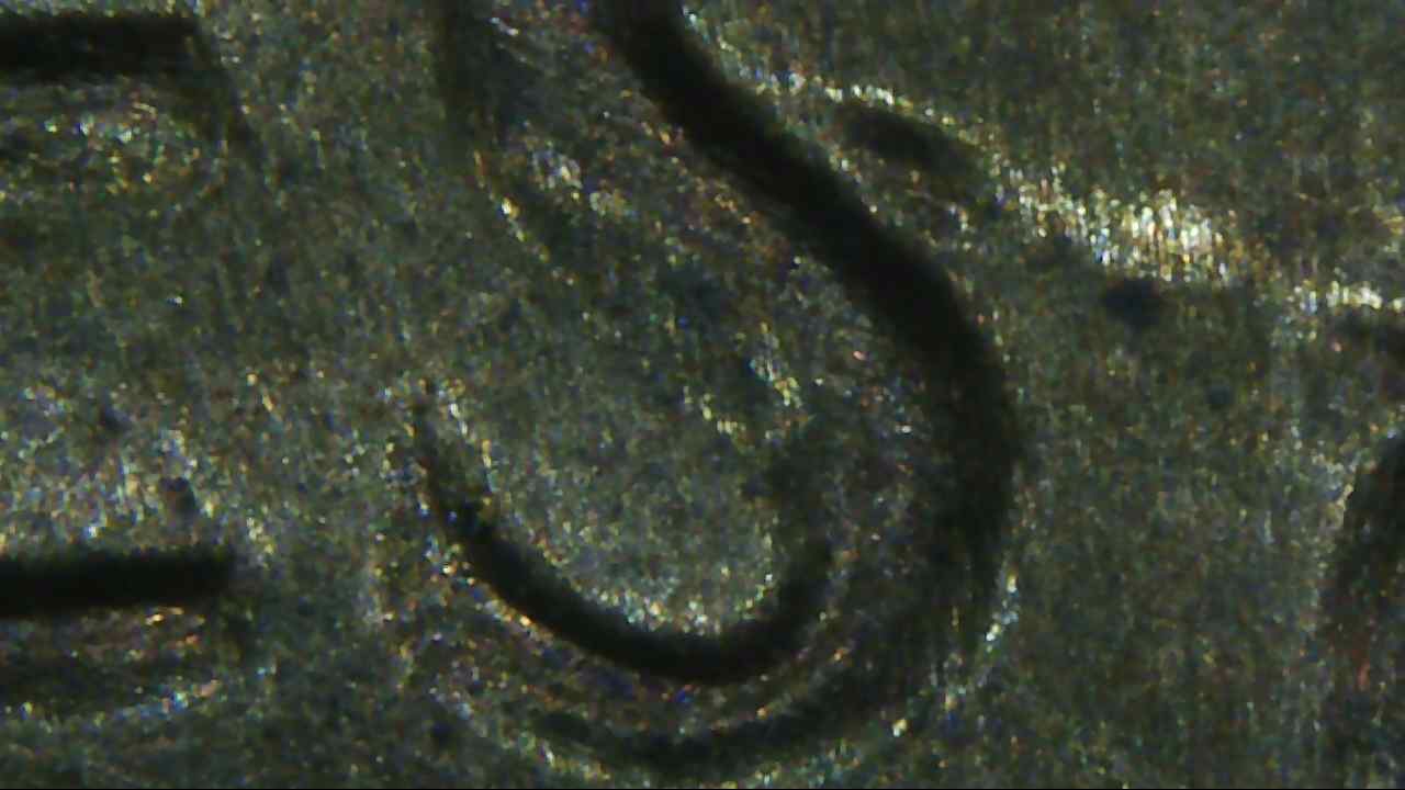1982-Penny-D-RPM?-DDO?-DDR?
