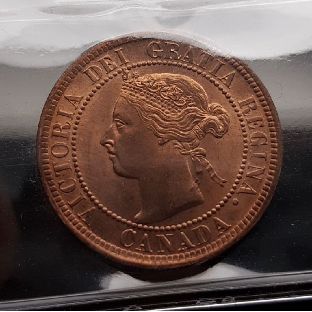 You-V.s.-ICCS:-1900-H-Large-Cent