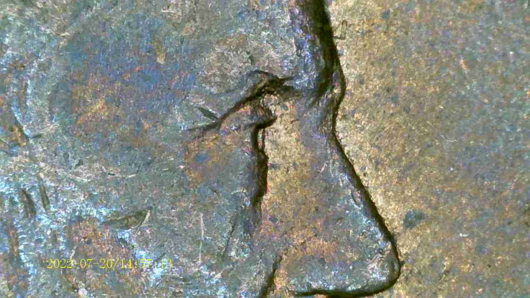 1991-D-Penny-Possible-DDO-Or-Something-Else?