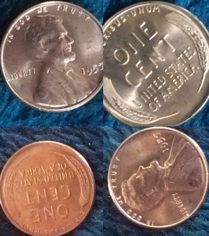 2019-DD--Or-MD?-D-Lincoln-Still-Learning-Thanks