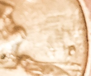 No-Date-Or-Liberty-Wheat-Cent?
