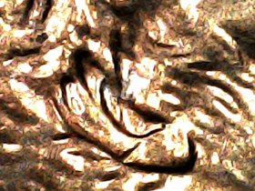 2004-D-Cent-DD?-And-I-Think-Very-Large-Diechipm