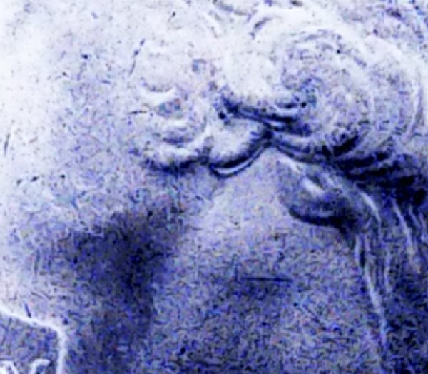 2018-Michigan-ATB-Error-On-Obv.-Double-Ear?