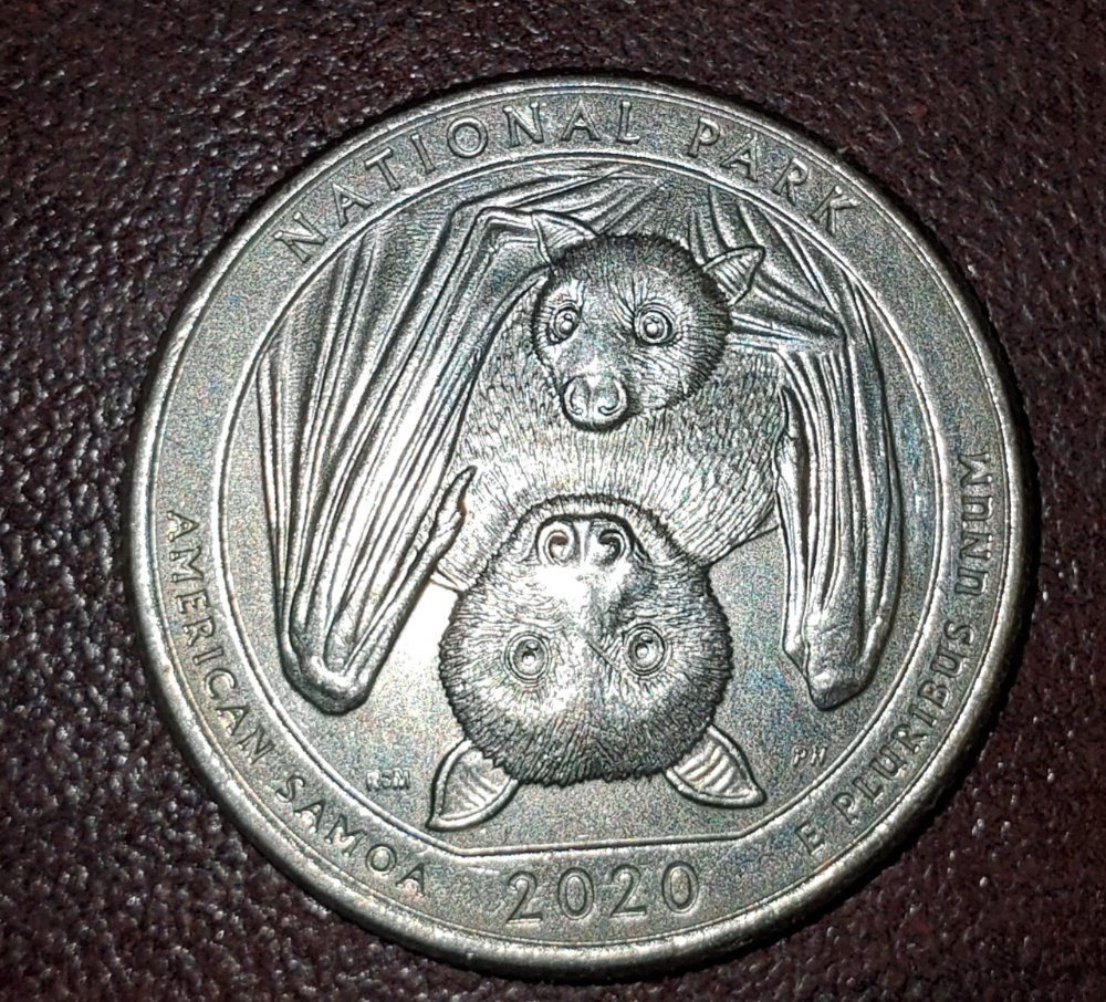 Is-There-Anything-Special-About-This-2020-American-Samoa-Quarter?