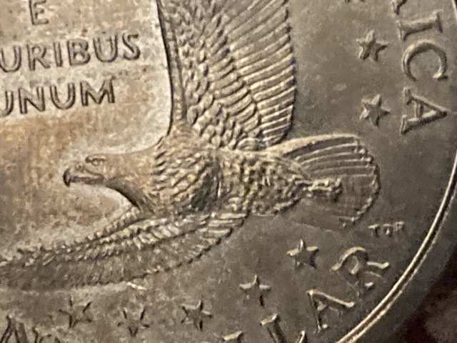 Wounded-Sacagawea-2000-P