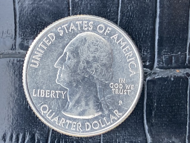 2019-P-25-Cent-Lowell-Scarred-Forearm