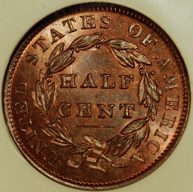 100-Days-Of-19th-Century-US-Coins-Plus-+-64-More-Days-Of-20th-Century!!-II