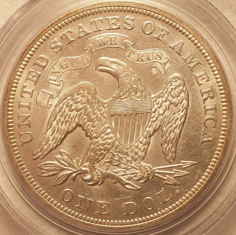 1873-Seated-Dollar:--How-Does-She-Grade?