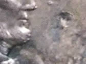 Need-Some-Help-With-2001-D-Lincoln-Memorial-Cent-Lots-Of-Errors