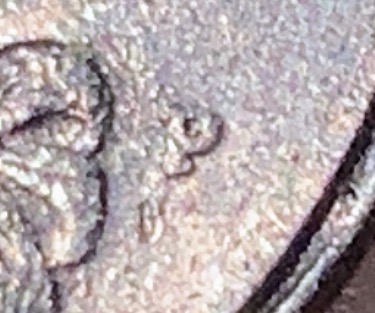 Doubling-On-Chin-And-Nose?-1990-P/D-Washington-Quarter