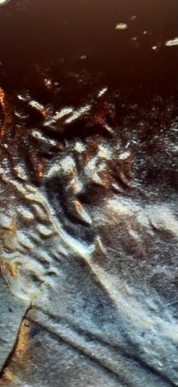 1984-P-LMC-Doubled-Ear-Variety