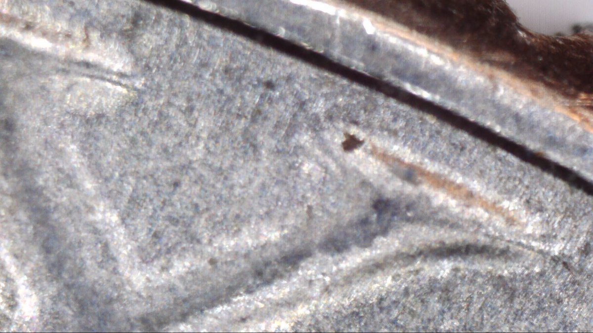 1986-D-Half-Dollar-Possible-DDO?