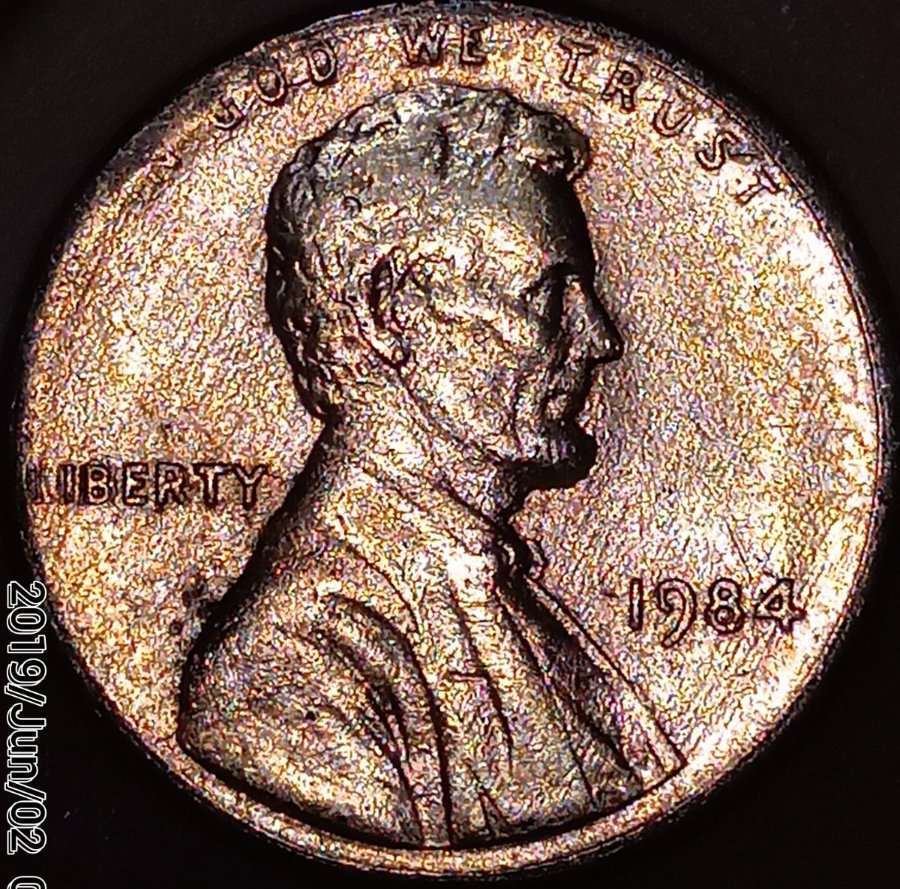 Please-Help-Me-Identify!