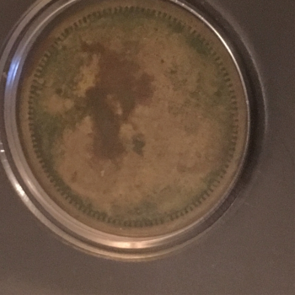 Lifelong-Collector--I-Could-Use-Help-With-A-Real-Puzzle-Id:-Picker's-Check-Token
