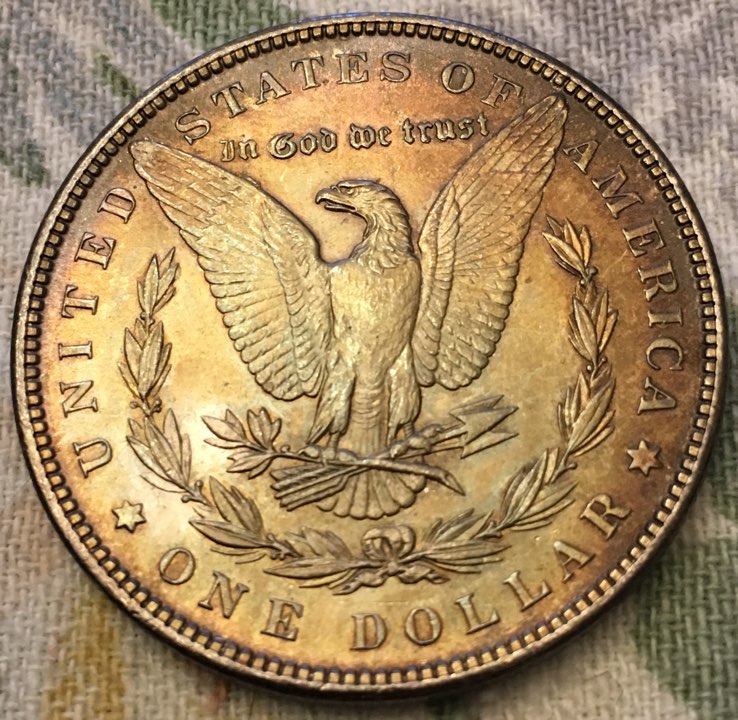 1879-&-1889-Morgan-Dollar