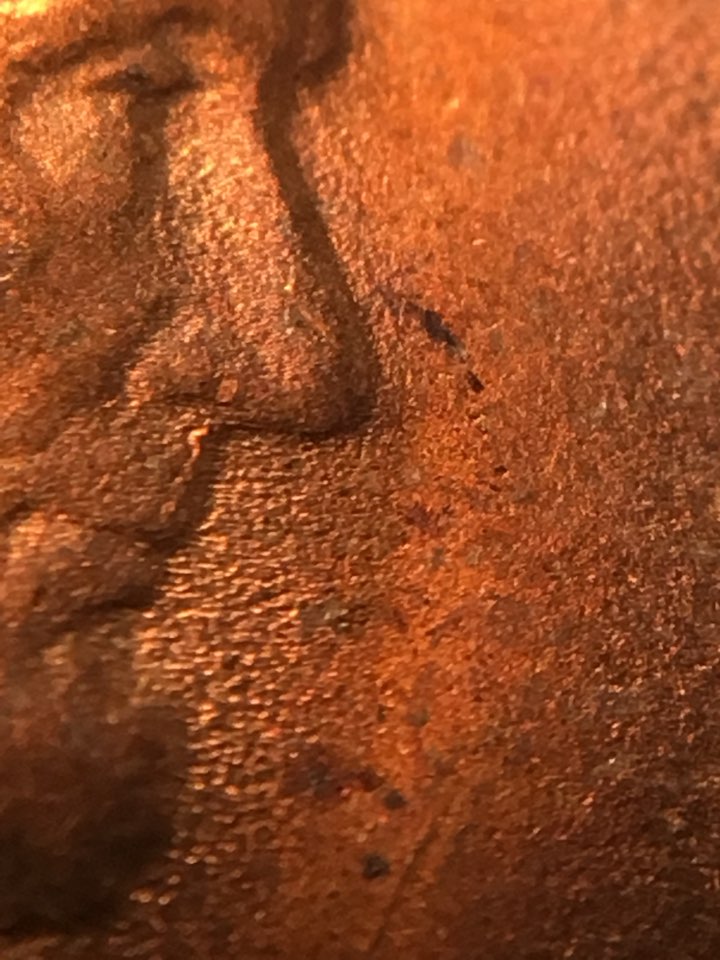 1909-LWC-Picked-Up-8-20-18