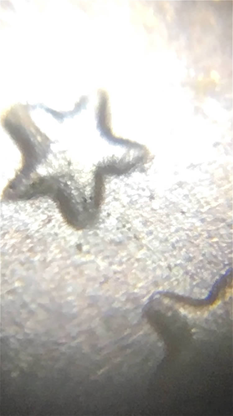 What-Grade-Would-You-Estimate-This-Possible-1965-50c-DDR-FS-802-To-Be?