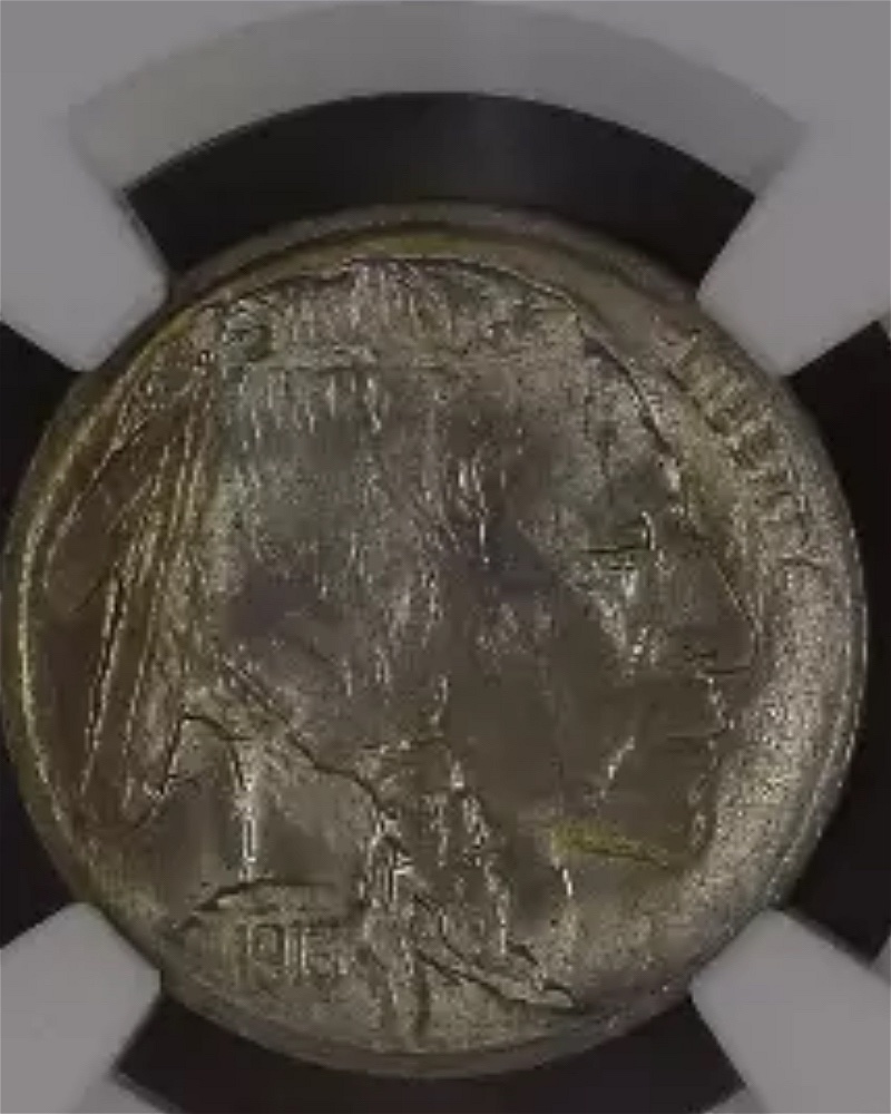 1913-Type-1-P-Buffalo-Nickel