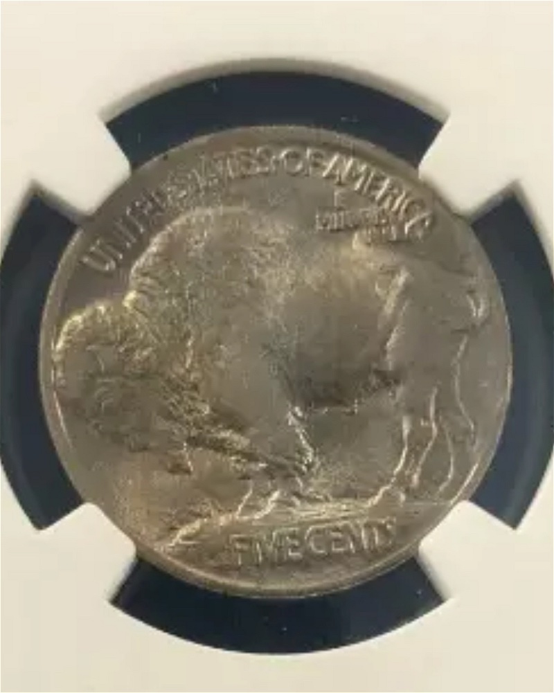 1913-Type-1-P-Buffalo-Nickel