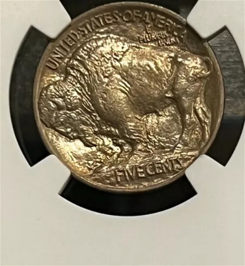 1913-Type-1-Buffalo-Nickel