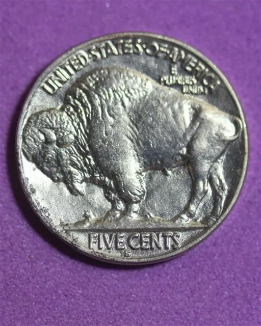 1931-S-Buffalo-Nickel,-Grade?